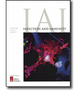 IAI